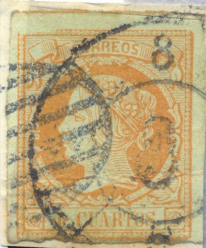 52 RC 8 y paarrilla a resol600 a.jpg