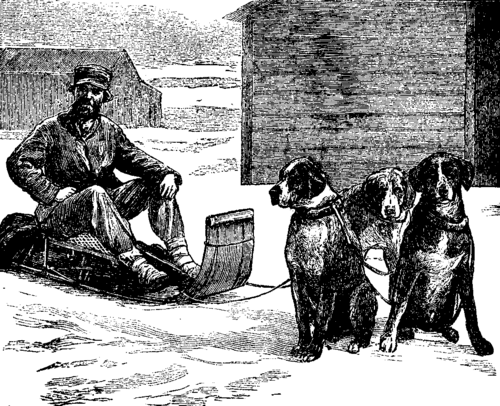 FIG-19-DOG-POST-AT-LAKE-SUPERIOR.png