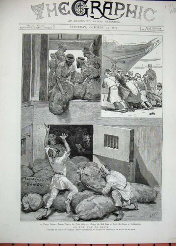 graphic1875.jpg