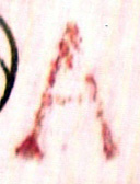 A Abono Valencia 1842.jpg