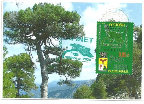 benef 504.jpg