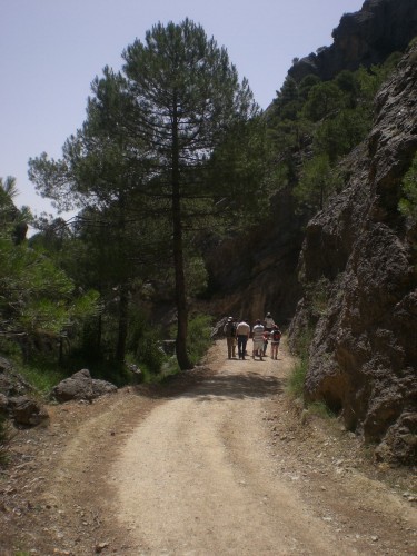 Se hace camino al andar...