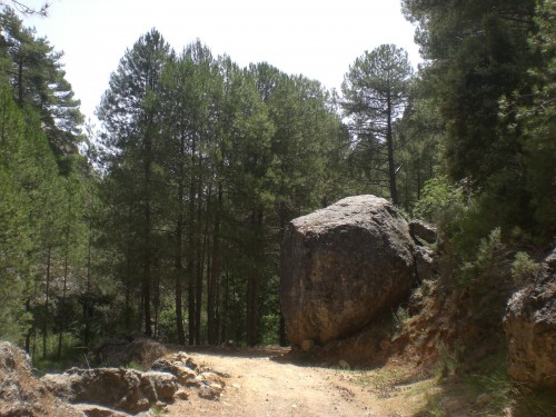 Pedrolo en mitad del camino.