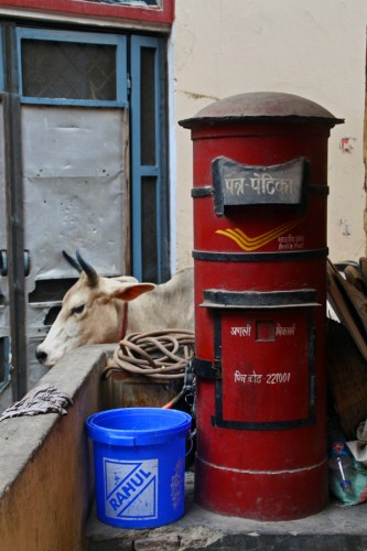 varanasi_buzon_g.jpg