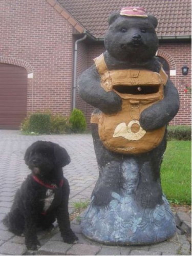 032_mailbox.jpg