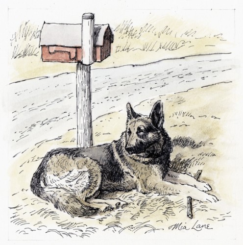 shepherd-by-mailbox150.jpg