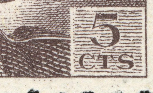 5cforo02.jpg