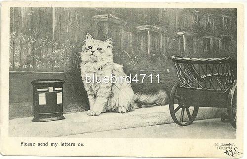 Edwardian Postcard by Landor cat sitting by letter box Please send my letters on.jpg