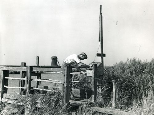 Farmer visiting postbox, River Waveney, Norfolk, 1947..jpg
