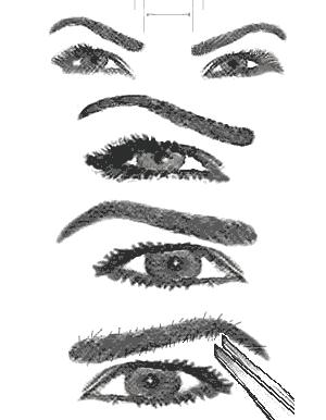 hasta las cejas