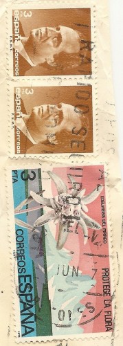 escanear0001.jpg