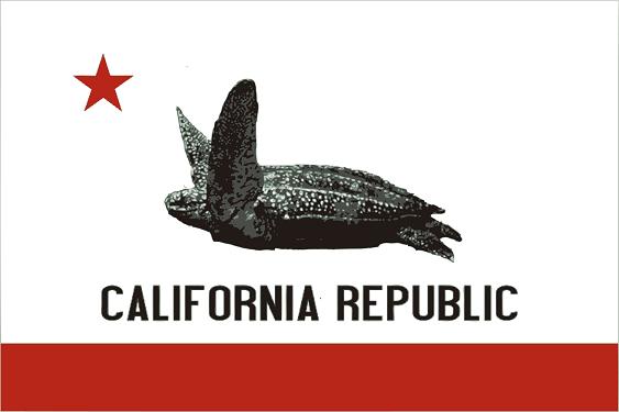 CA_TURTLE_courtesy_of_Oceana_0.jpg