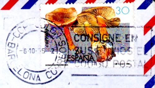 barcelona CCPtipo01.jpg