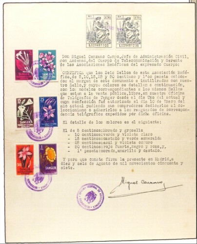 folio.JPG