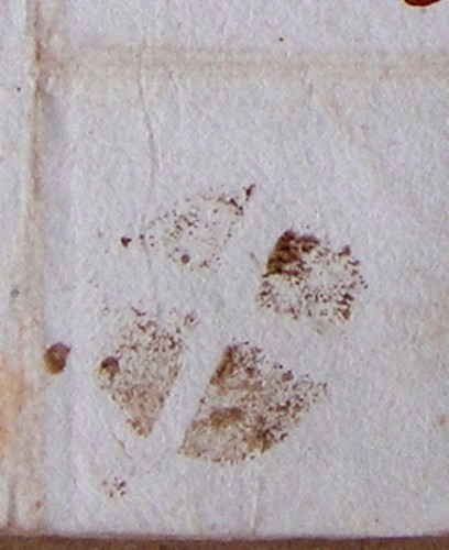 ROMA 1735 A CEUTA ASPA.JPG