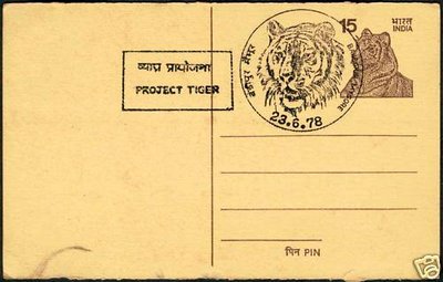 India78 ProyectoTigre.jpg