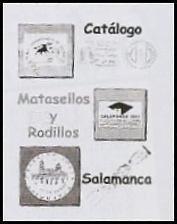 cat-mat-rod-salam