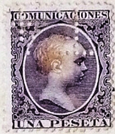 Pelon variedad.jpg