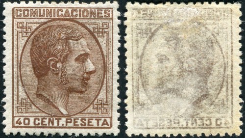 0195calcdorso.jpg