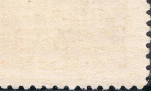 567.jpg
