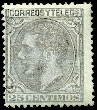 Alfonsillo Gris Negro.jpg