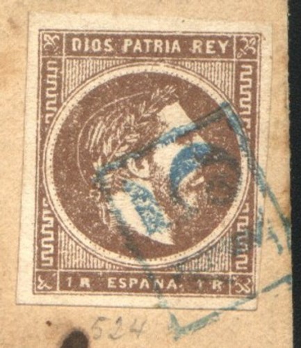 faCamo1b.jpg