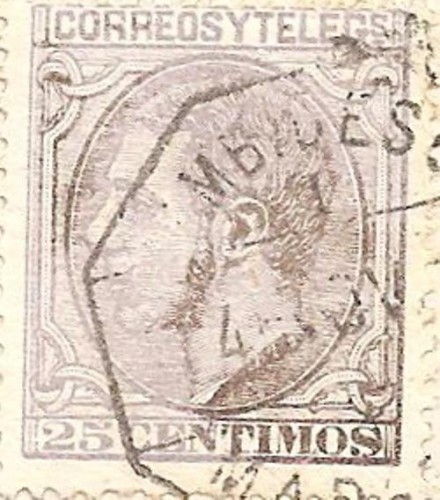 Bicolor, mingzaro 500.jpg