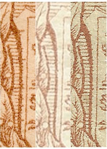comparatiu falsos detall lateral (agora).jpg