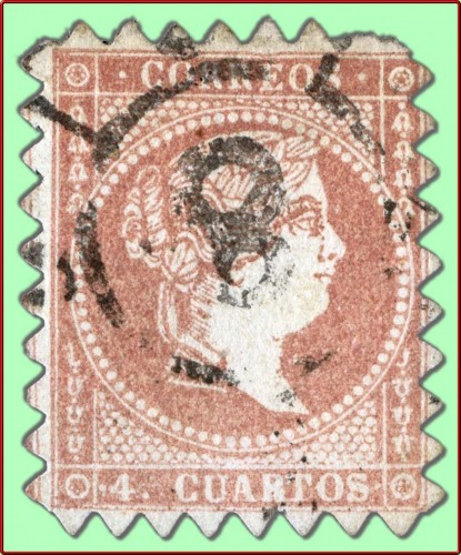 48-dentat-Valencia_1.jpg