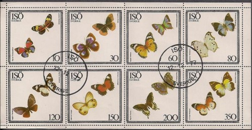 2011115_scan0009Medium.jpg