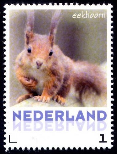 ARD. HOLANDA 2013.jpg