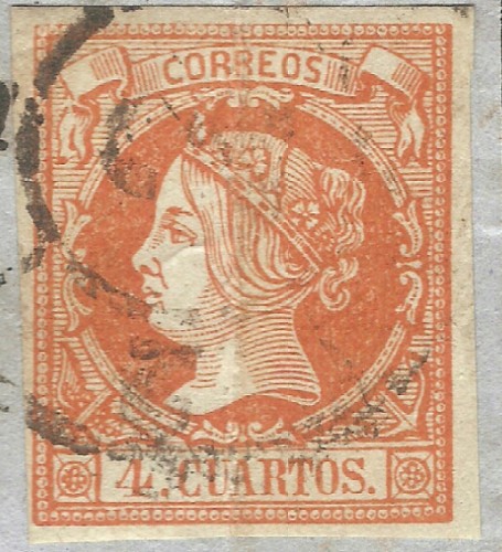 4ctsvariedad.jpg