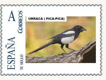 J011 - URRACA.JPG