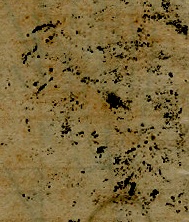 CartaUsoPostalRecibosde1867SitjaTrebolOculto.jpg