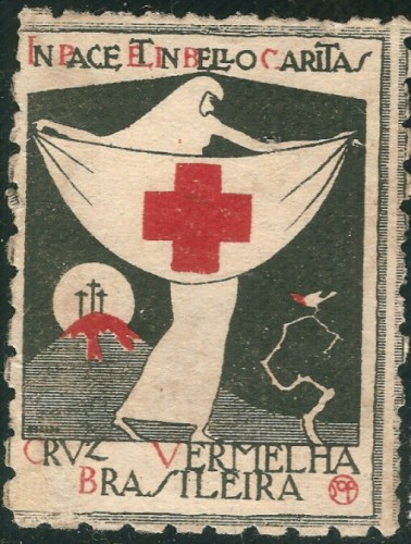 Enfermera Brasil(1).jpg
