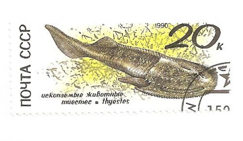 fosil ruso 001.jpg