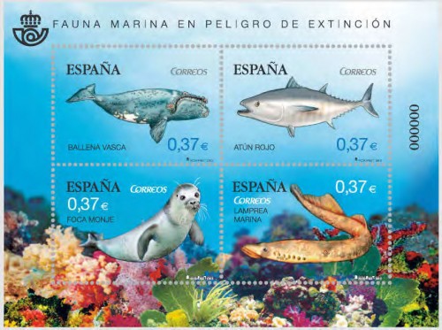 2013-06-03. Fauna marina en peligro de extinción. Imagen.jpg