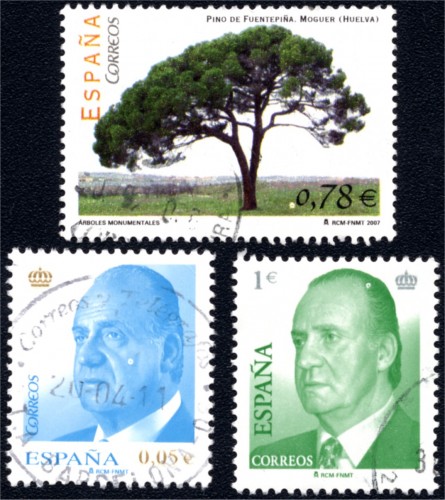 Rareza moscas.jpg