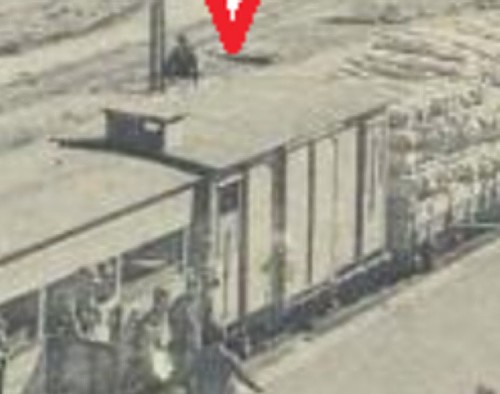 TREN-a.jpg