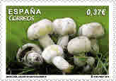 2013-10-08. Micologia 2013. Agaricus xanthodermus. Imagen. Correos.jpg