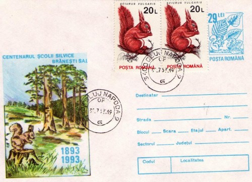 ARD. RUMANIA.jpg