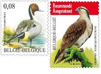Aves