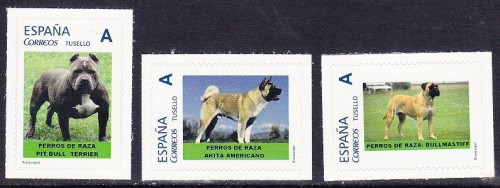 3 Perros Raza 11-2013 reducido.JPG