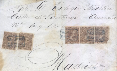 carteria.jpg