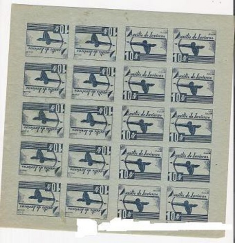7780597.jpg