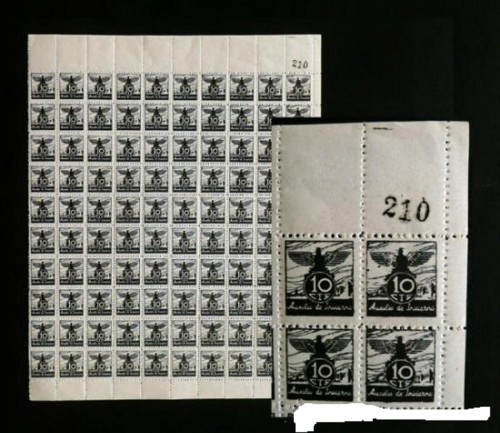 33974960.jpg