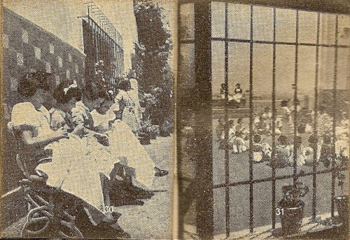 escanear0029.jpg