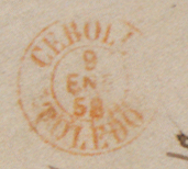 Cebolla_58.jpg