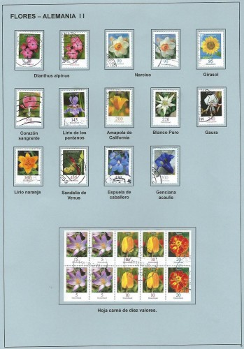 FLORES ALEMANIA II-.JPG