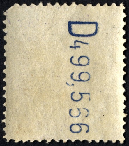 246_u1r.jpg
